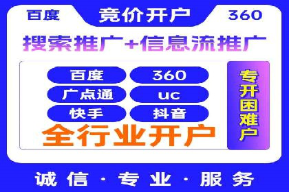 某电商平台的SEM推广实践与效果展示