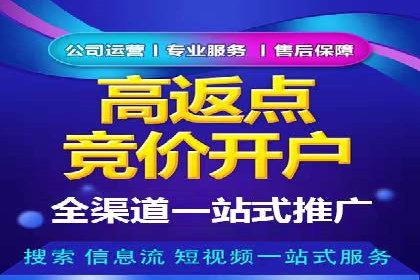 成功SEM竞价托管案例分析报告